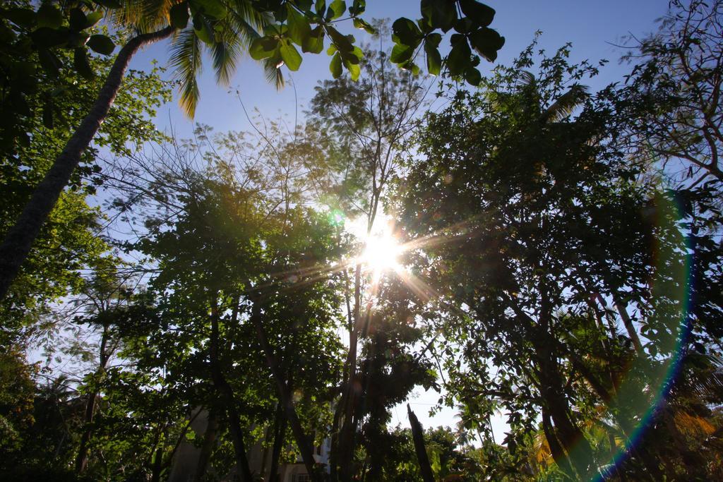 La Residencia Del Paseo Aparthotel Las Terrenas Ngoại thất bức ảnh