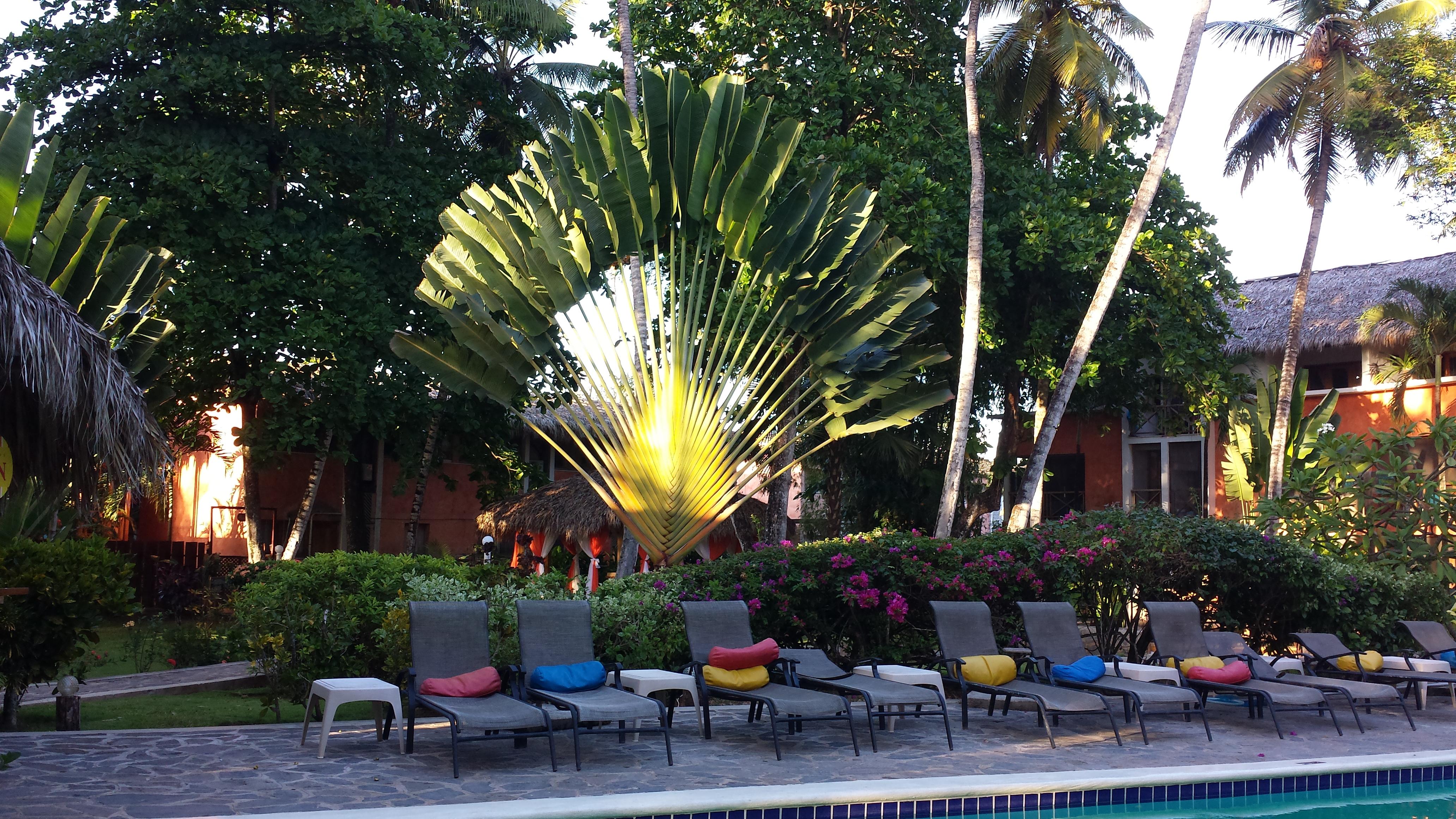La Residencia Del Paseo Aparthotel Las Terrenas Ngoại thất bức ảnh